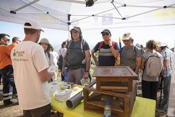 Telde planta 500 ejemplares de especies distintas en Calasio/TA.