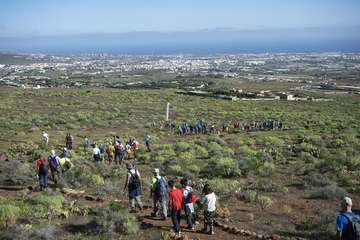 Telde planta 500 ejemplares de especies distintas en Calasio/TA.
