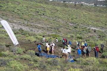 Telde planta 500 ejemplares de especies distintas en Calasio/TA.