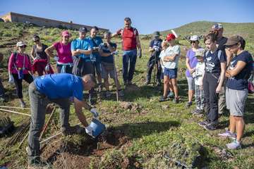 Telde planta 500 ejemplares de especies distintas en Calasio/TA.