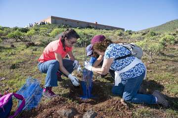 Telde planta 500 ejemplares de especies distintas en Calasio/TA.