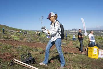 Telde planta 500 ejemplares de especies distintas en Calasio/TA.