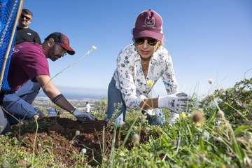 Telde planta 500 ejemplares de especies distintas en Calasio/TA.