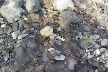 Vecinos de La Garita alertan del vertido de aguas fecales en la costa/TA.