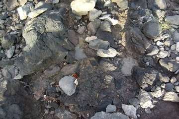 Vecinos de La Garita alertan del vertido de aguas fecales en la costa/TA.