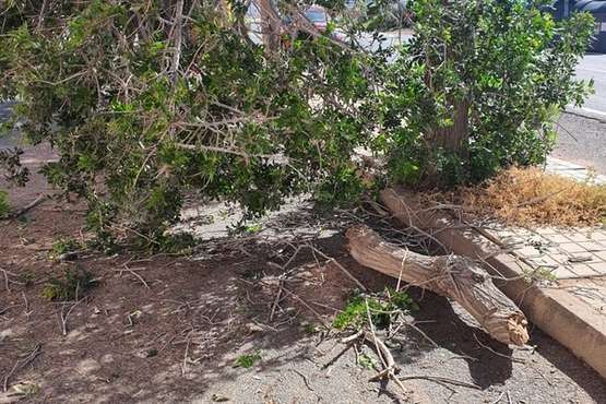  Madrugada de viento racheado en Telde e incidencias en la isla/TA.