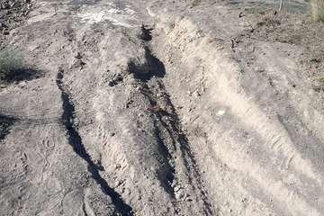  La montaña de Rosiana (1)/TA.