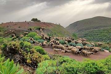 La montaña de Rosiana/TA.