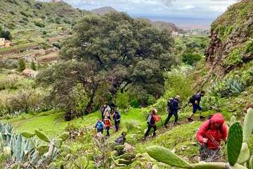 Caminata de Turcón por Lomo Cuevas de Cuba/TA.
