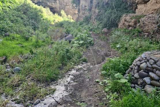 Un vertido de aguas fecales contamina el Corredor Paisajístico de Telde, a la altura del Valle de los Nueve/TA.