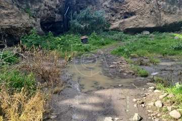 Un vertido de aguas fecales contamina el Corredor Paisajístico de Telde, a la altura del Valle de los Nueve/TA.