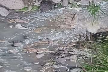 Senderistas insisten en que el vertido fecal en el Barranco Real de Telde no ha sido controlado como dice Aguas/TA.