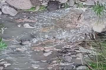 Senderistas insisten en que el vertido fecal en el Barranco Real de Telde no ha sido controlado como dice Aguas/TA.