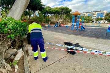  Reabierto el parque infantil de San Juan/TA.