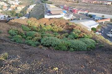 Montaña de Jinámar/TA.
