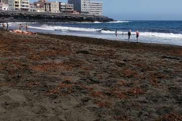 Usuarios de La Garita denuncian la deficiente limpieza para retirar la seba acumulada en la orilla/TA.