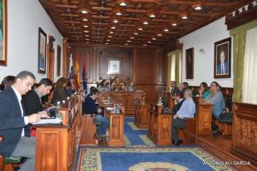 Imagen del último Pleno, celebrado en diciembre de 2013 (Foto Antonio Ali)