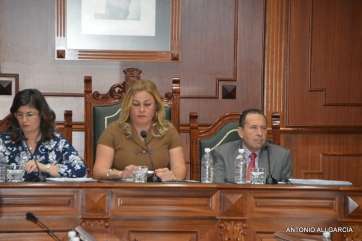Imagen del último Pleno municipal (Foto Antonio Alí)