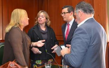 Un momento del Pleno de este viernes (Foto TA)