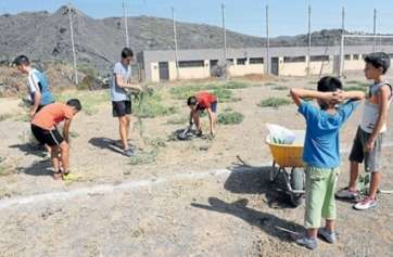 Grupo de niños tratando de acondicionar el campo de fútbol de Lomo Magullo (Foto Arcadio Suárez-C7)
