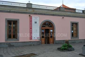 Biblioteca de Arnao (Foto TA)