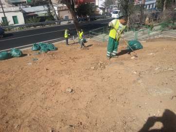 Operarios de FCC en una intervención reciente en una ladera de Jinámar (Foto TA)