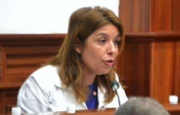 Carmen Hernández este lunes en el Pleno (Foto Daniel Ojeda)