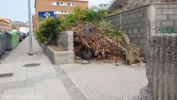 Restos de una poda acumulados en un barrio de Telde (Foto José Alzola)