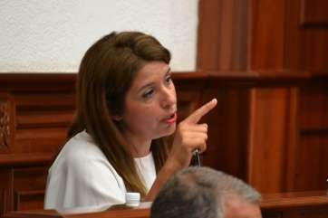 Carmen Hernández, en un momento del Pleno de este viernes (Foto TA)