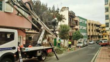 Intervención del personal de Parques y Jardines en una calle de Clavellinas (Foto TA)