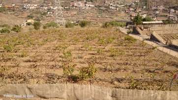 Estado de la finca El Viso (José Alzola)