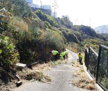 Limpieza del camino (Foto TA)
