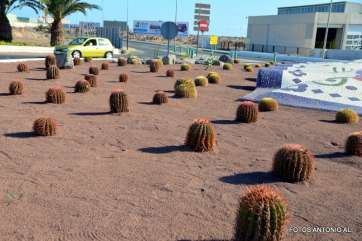La intervención comenzó este domingo a las 7 de la mañana (Foto Antonio Alí)