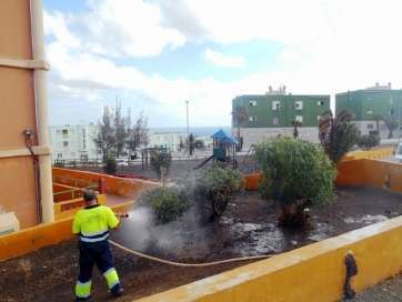 Intervención del personal de Parques y Jardines en Jinámar (Foto TA)