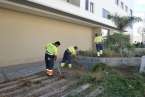 Plan de choque de Parques y Jardines en la urbanización La Vega (Foto TA)