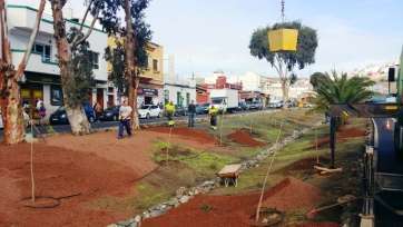 Trabajos en los espacios ajardinados de Jinámar (Foto TA)