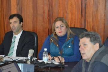 Comisión informativa, este jueves (Foto TA)