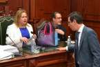 Pleno extraordinario del Ayuntamiento sobre el nuevo PGO de Telde (Foto TA)