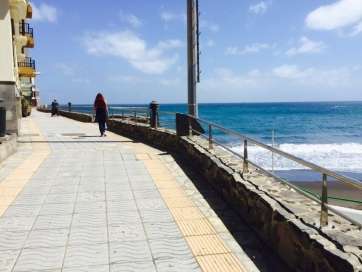 Imagen del Paseo de Las Delicias, en La Garita (Foto TA)