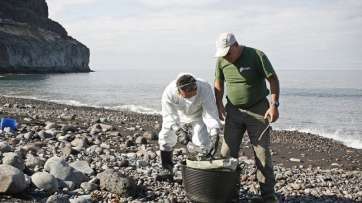  Recogida de fuel en la playa de Veneguera (CanariasAhora-Alejandro Ramos) 