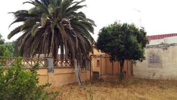 Imagen del estado de abandono que presentan los jardines románticos de la Casa Condal de San Juan (Foto TA)