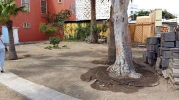 Estado actual de los jardines de la Casa Condal (Foto TA)