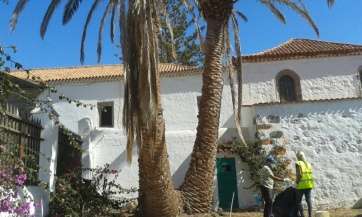 Imagen de las actuaciones llevadas a cabo en los jardines de la casa conventual de San Francisco (Foto TA)