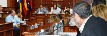 Pleno del Ayuntamiento de Telde (Foto TA)