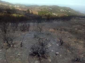 Imagen de la zona devastada por el incendio forestal de Cazadores (Foto TA)