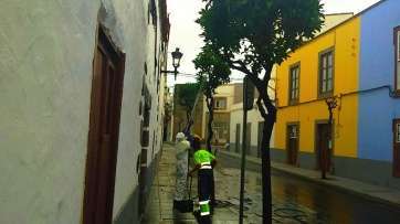 Trabajos de limpieza de los naranjeros (Foto TA)