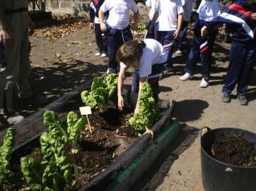 Imagen de archivo de la actividad en otra edición (Foto TA)