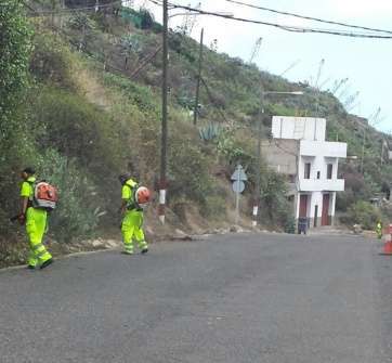 Trabajos de desbrozo de los márgenes de la carretera de acceso (Foto TA)