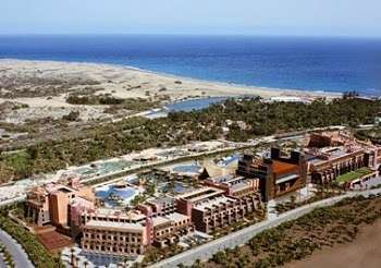 Vista del palmeral del Oasis (Foto TA)