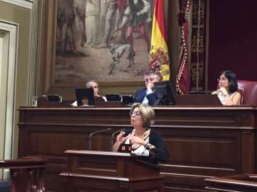 Intervención de Luzardo en el Parlamento canario (Foto TA)